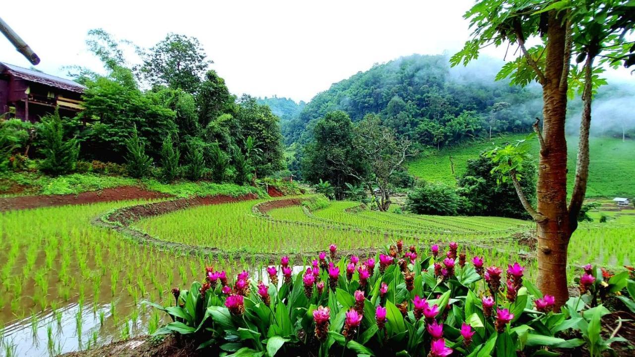 Kowitfarmstay Ban Mae Pan Noi Exterior photo